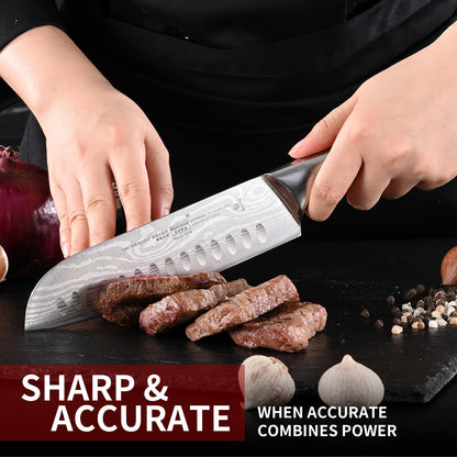 SHI BA ZI ZUO Santoku Knife and Fruit Knife Damascus Pattern Kitchen Knife Set Stainless Steel Japanese Chef Knife Paring Knife with Hollow Handle